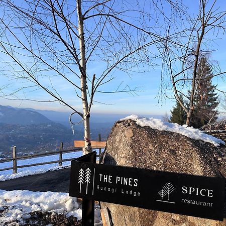 The Pines Bucegi Lodge برانْ المظهر الخارجي الصورة