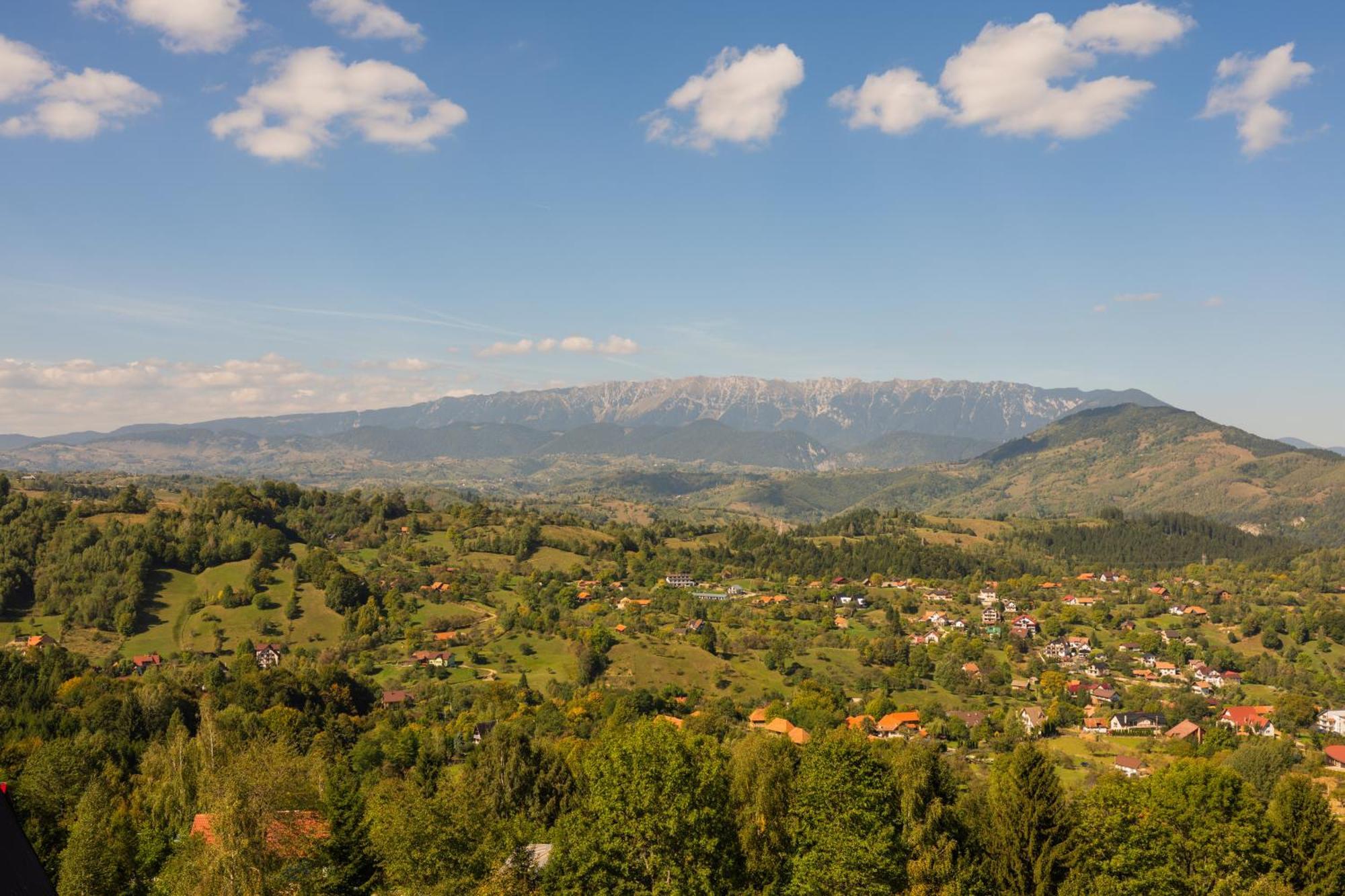 The Pines Bucegi Lodge برانْ المظهر الخارجي الصورة