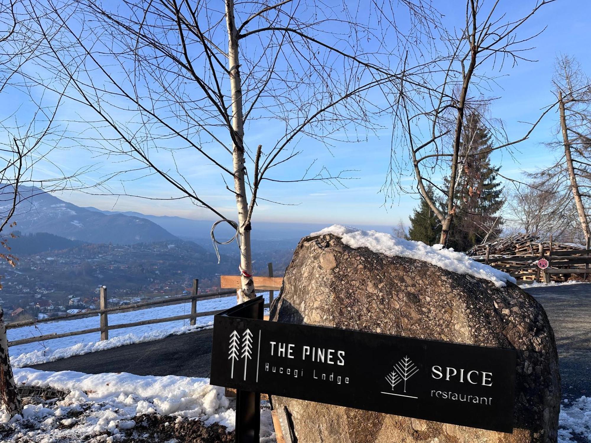 The Pines Bucegi Lodge برانْ المظهر الخارجي الصورة