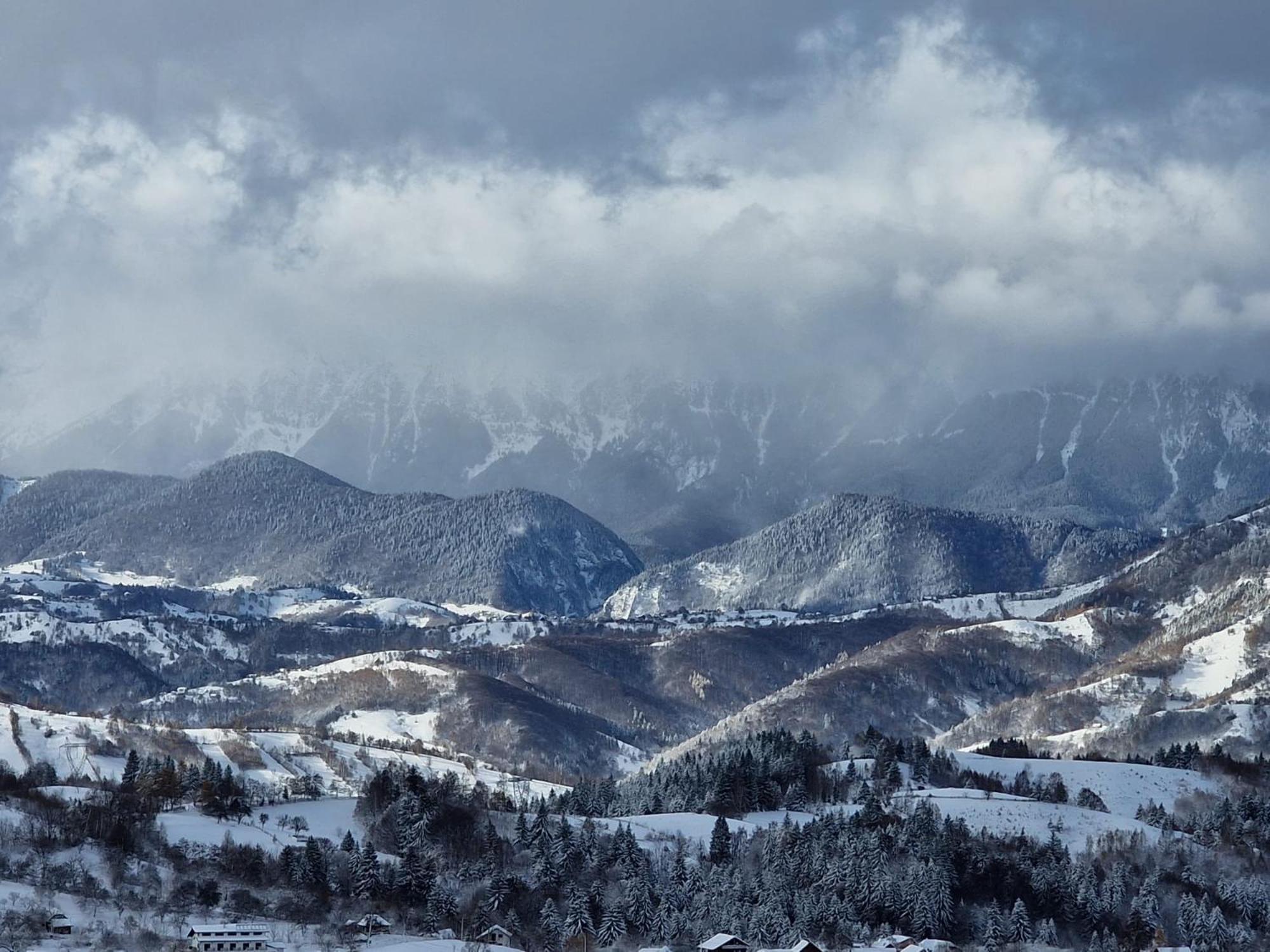 The Pines Bucegi Lodge برانْ المظهر الخارجي الصورة